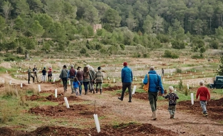  The Farm Reviving Agriculture in Party Capital Ibiza