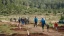 Juntos_farmbanner.webp
