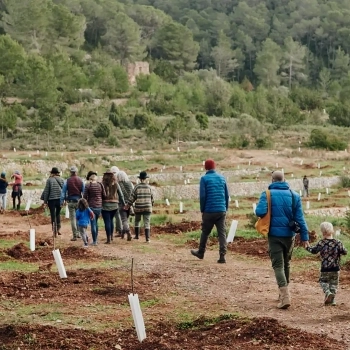  The Farm Reviving Agriculture in Party Capital Ibiza