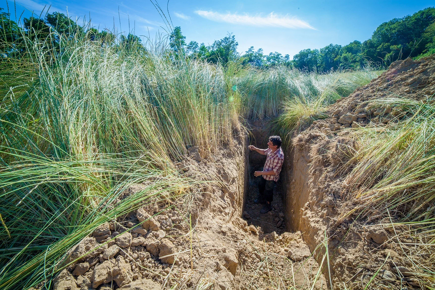 The Land Institute worked with photographer Jim Richardson to visualise the root systems of both annual wheat and perennial Kernza crops, excavating the ground to reveal what was below just as Weaver did nearly a century before.