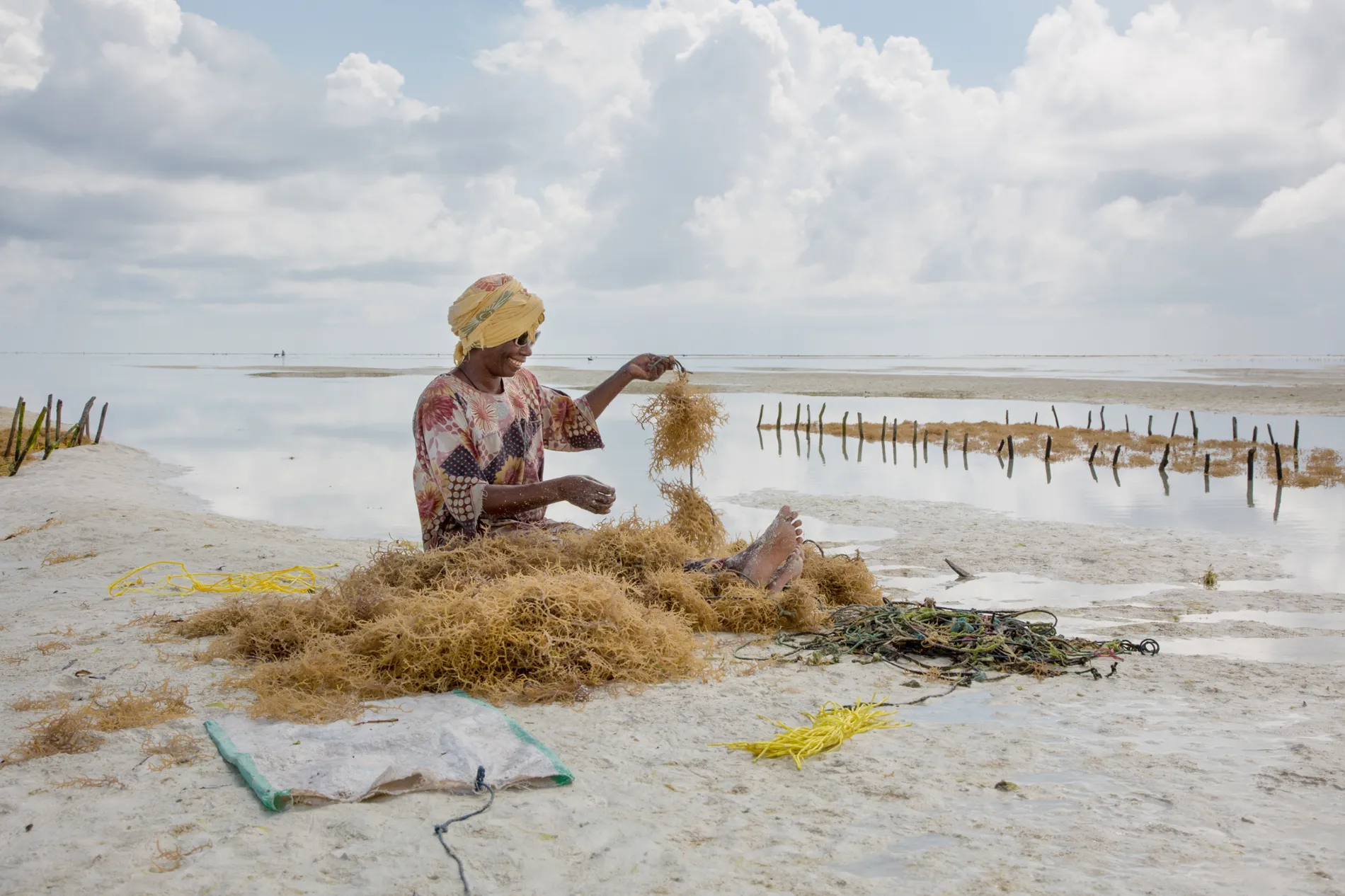 Kiki-Streitberger_Seaweed_1607_1.webp