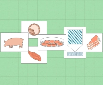 lab_meat_banner_1.webp