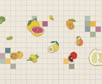 When Life Gives You Lemons, Make a Citrus Foundation