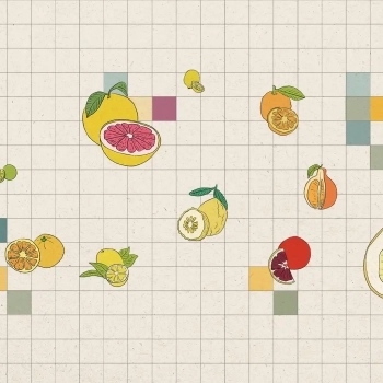 When Life Gives You Lemons, Make a Citrus Foundation