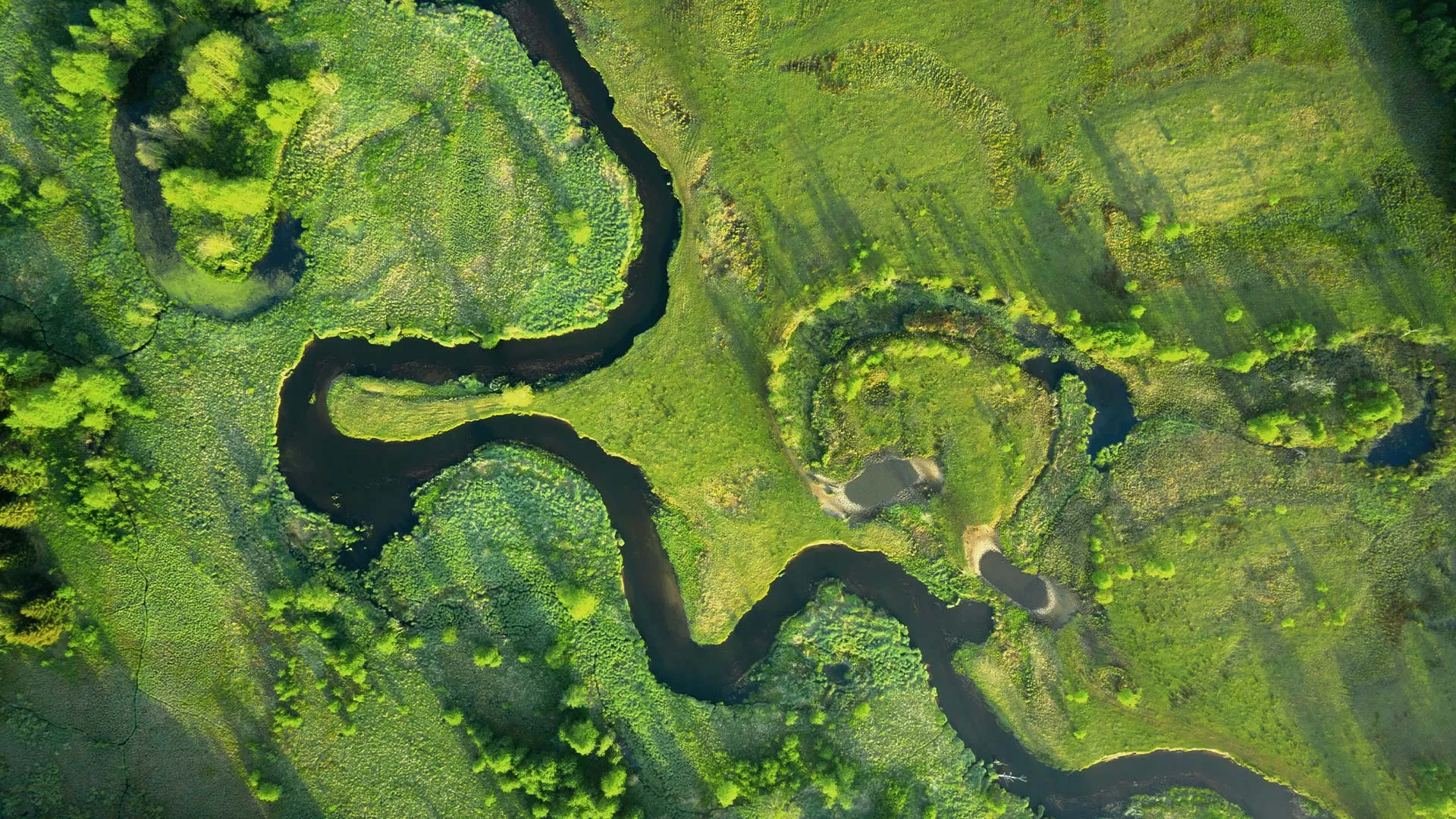 Lessons-Agriculture-Ecology-Banner.webp