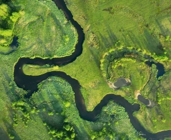 Lessons-Agriculture-Ecology-Thumb.webp