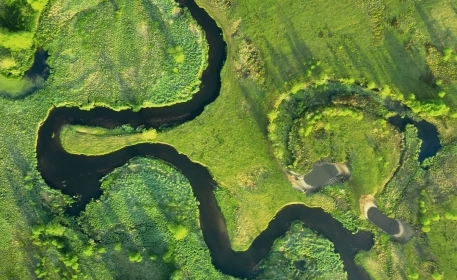 5 Lessons Agriculture Can Learn From Ecology