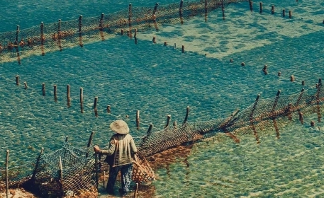 Farming The Food Chain | Low Trophic Aquaculture