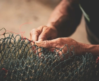 Cheap Seafood | The Social Cost of Production