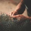 Marine-Capture-Fisheries_Social-Cost-of-Production-THUMB.webp