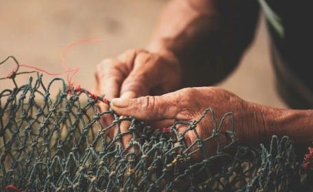 Cheap Seafood | The Social Cost of Production