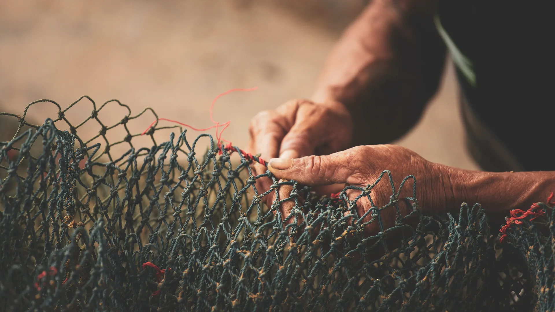 Marine-Capture-Fisheries_Social-Cost-of-Production.webp