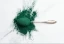 microalgae-benefits-thumb.webp
