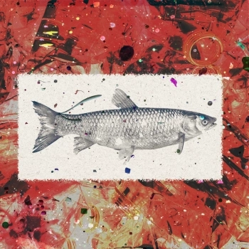 Microplastic in Our Food