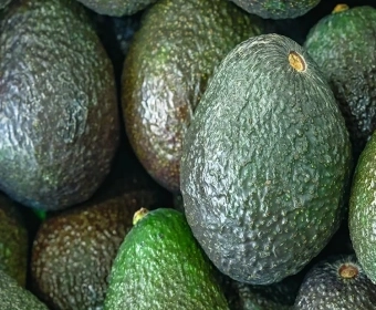 Avocados: Die wahren Kosten der Produktion