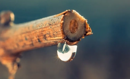 6 Tipps, um den Wasser-Fußabdruck deiner Ernährung zu verkleinern