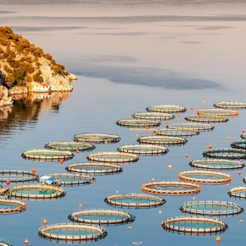 Fischzuchten: Das ASC-Zertifikat | Nachhaltige Meeresfrüchte kaufen
