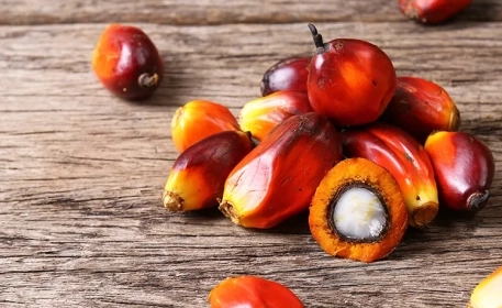Wie Palmöl hergestellt wird