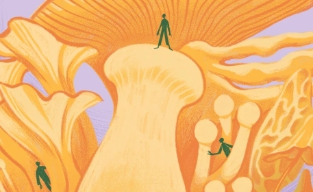 Mycophobia and the Lost Knowledge of the Fungi Kingdom