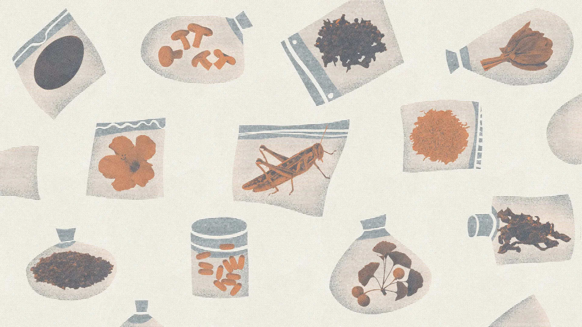 Novel_Foods_Banner.webp