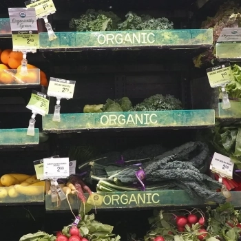 The Unequal Costs of Going Organic