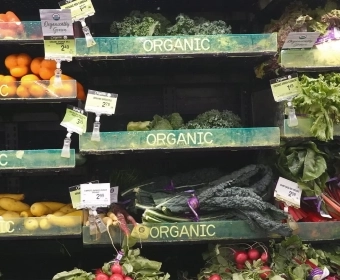organic_banner.webp