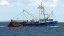Overfishing_banner.webp