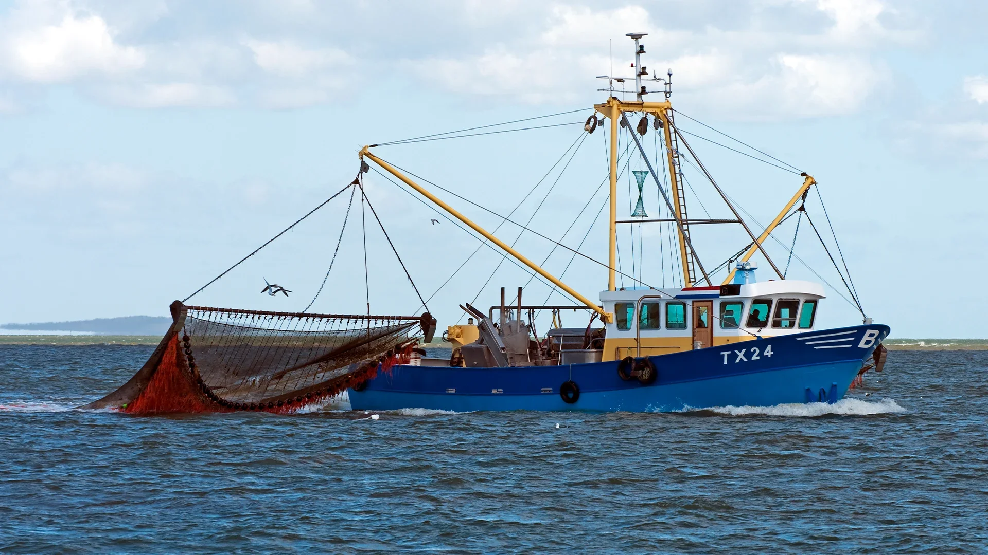 Overfishing_banner.webp