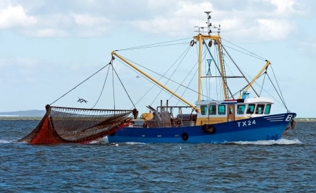 The Fight to End Harmful Fisheries Subsidies