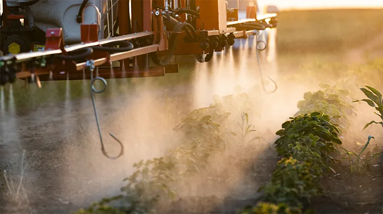 Spraying pesticides