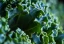 plant-based-calcium-sources-category.webp