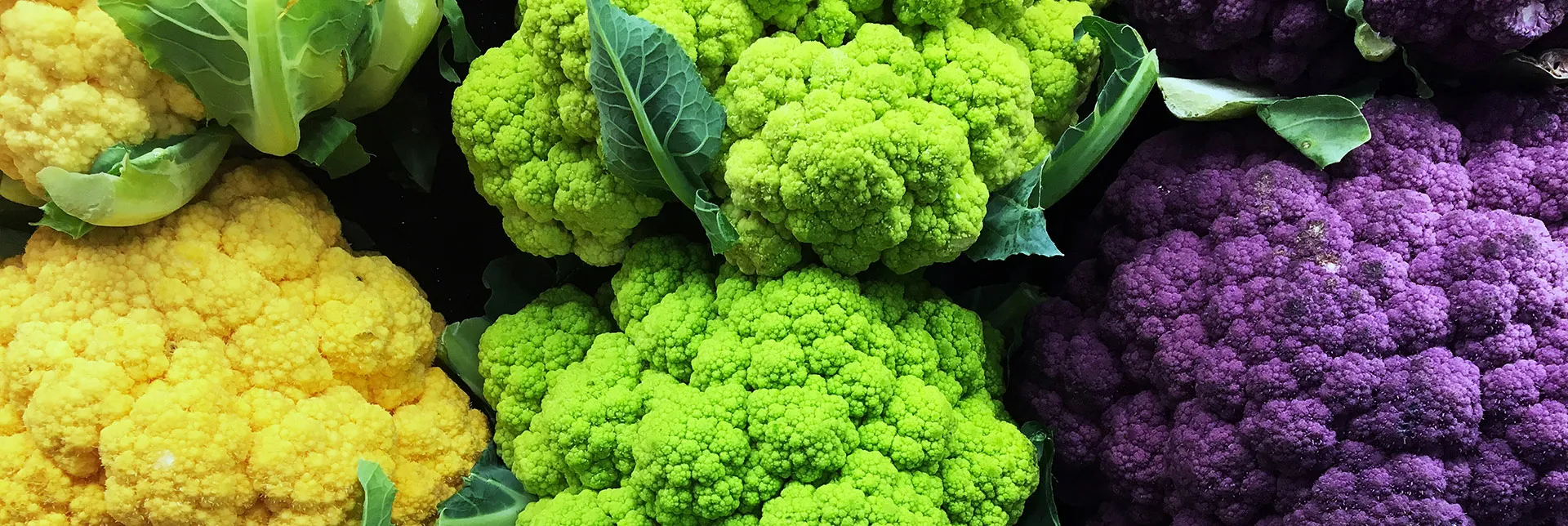 Grasas saludables para veganos | Fuentes vegetales de Omega-3 y 6