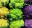 plant-based-omega-3-mobile.webp