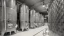 Precision_fermentation_bannerwebp.webp
