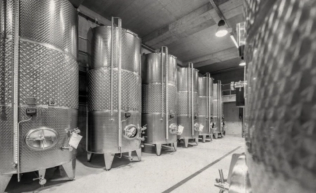 Precision Fermentation: Past, Present, and Future Promise