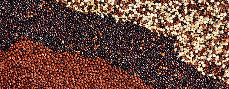 quinoa