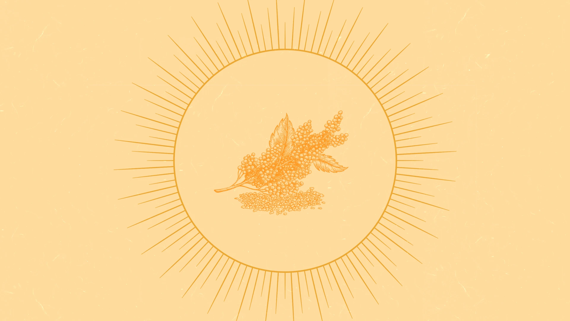 Quinoa_headerB.webp