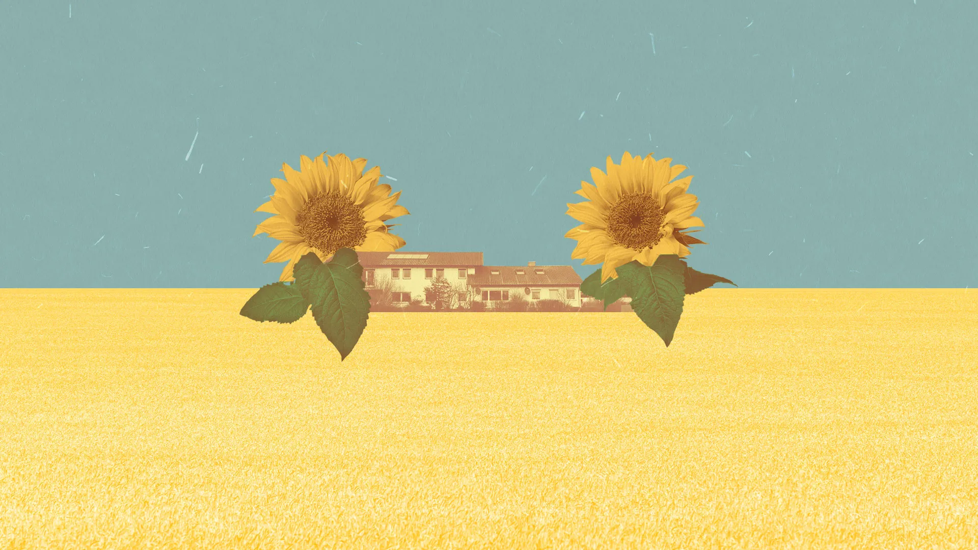 Reber_cover_1.webp