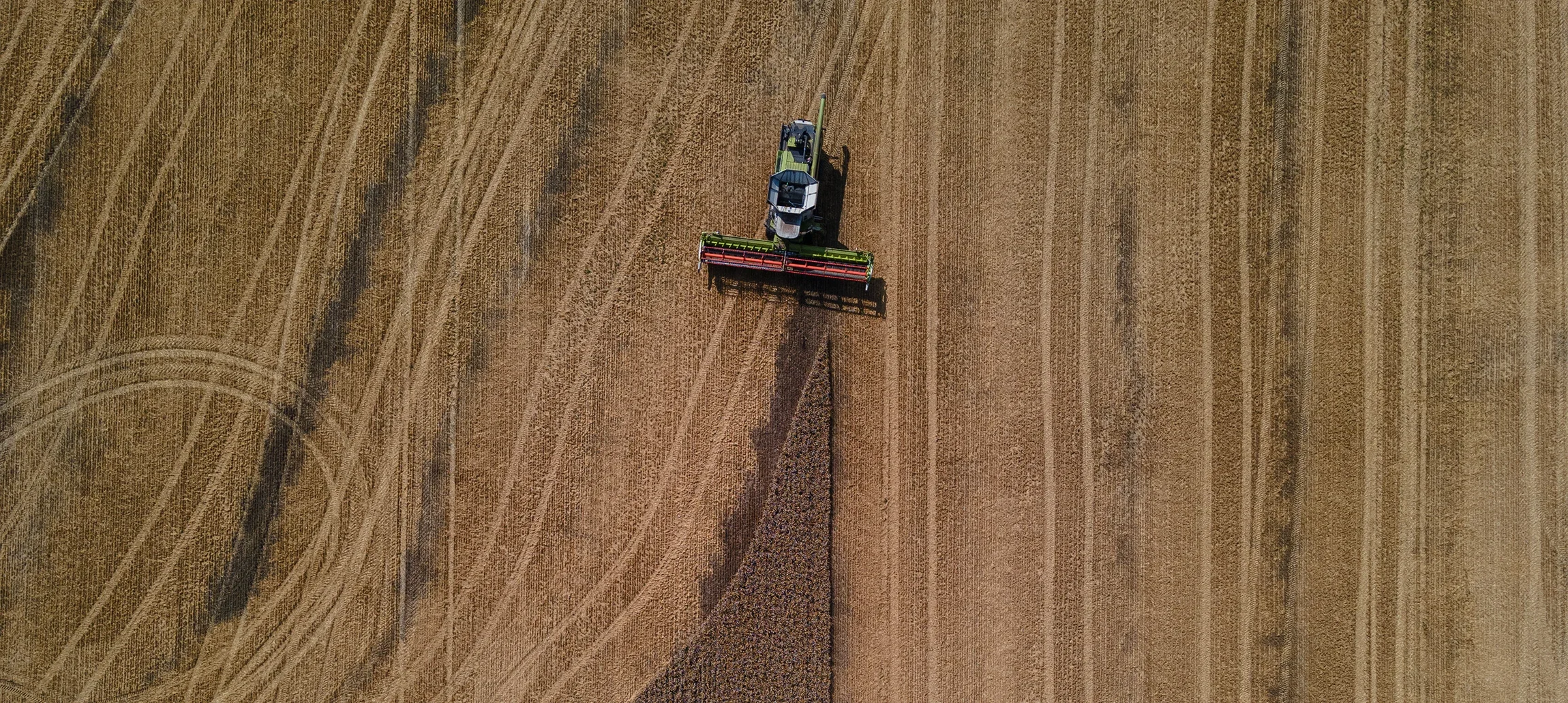 In normal times, Ukraine is one of the world's largest grain exporters. Photo by Alexey Furman via Getty Images.