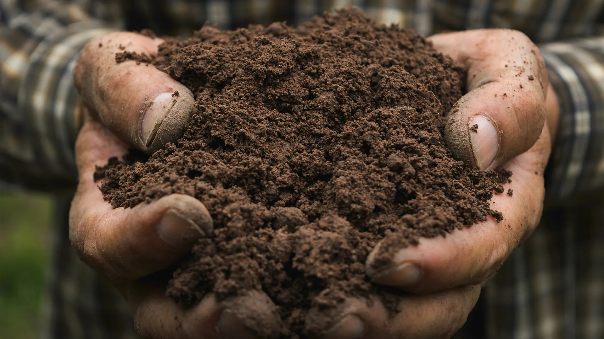 regenerative-agriculture-ask-expert-header.webp