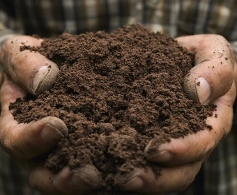 regenerative-agriculture-ask-expert-thumb.webp