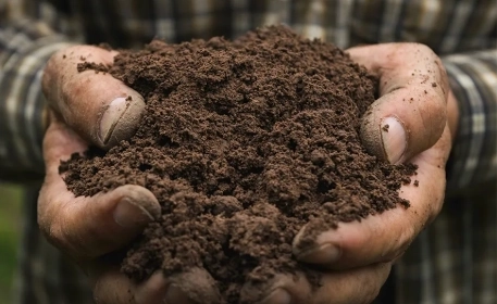 Regenerative Farming | Ask The Expert
