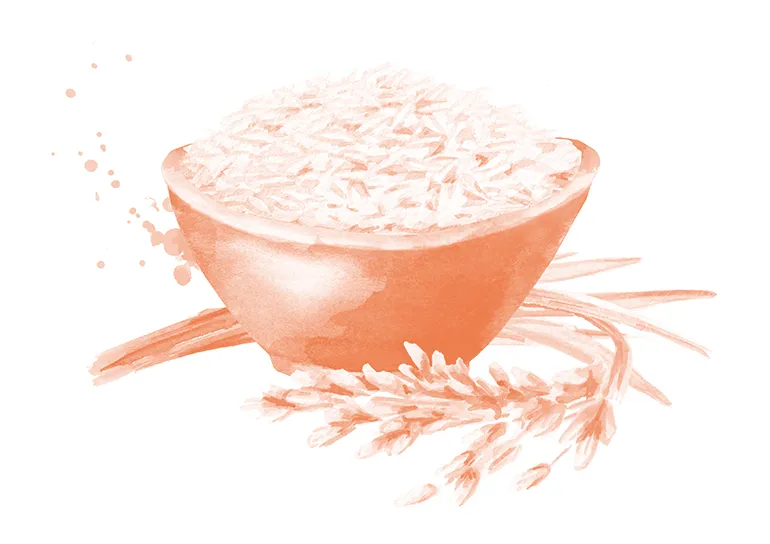 Rice bowl