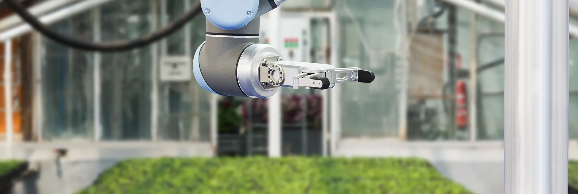 robots-on-farms-header.webp