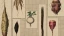 root_veg_banner.webp