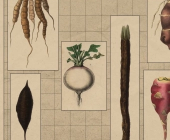 root_veg_banner.webp