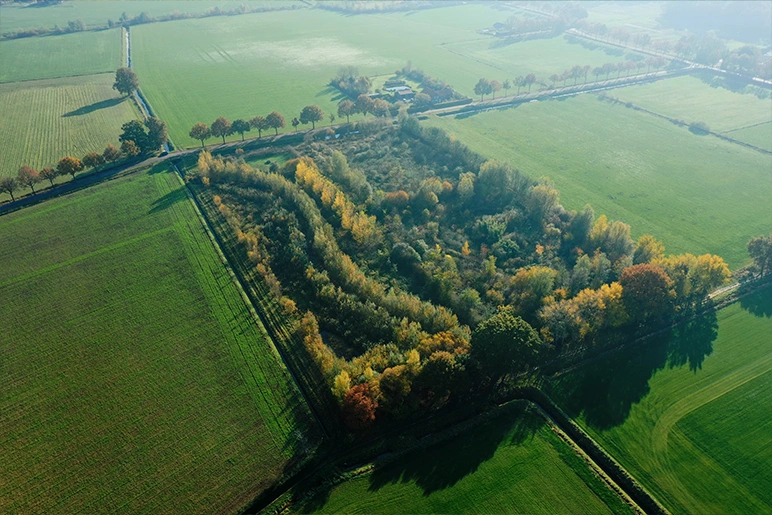 food forests