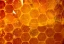 science-behind-honey-category.webp