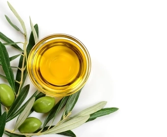 science-of-olive-oil-category.webp