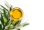 science-of-olive-oil-category.webp